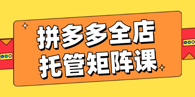 拼多多全店托管矩阵课，盈利动销玩法，高效计划设置，提升店铺效益-test