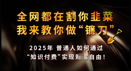 知识付费如何做到月入过W+，2025我来教你做“镰刀”【揭秘】-test