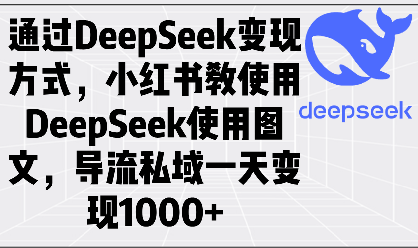 通过DeepSeek变现方式，小红书教使用DeepSeek图文，导流私域一天变现1000+-test