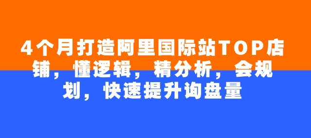 4个月打造阿里国际站TOP店铺，懂逻辑，精分析，会规划，快速提升询盘量-test