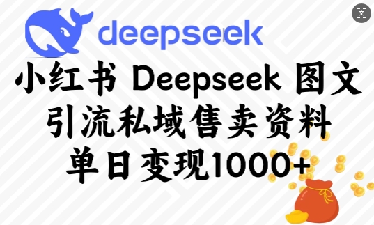 小红书Deepseek图文引流私域售卖资料，单日变现多张-test