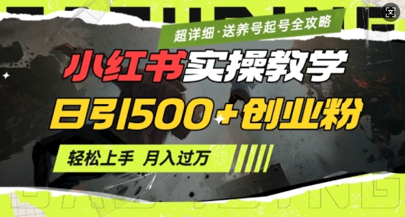 2月小红书最新日引500+创业粉实操教学【超详细】小白轻松上手，月入1W+，附小红书养号起号SOP-test