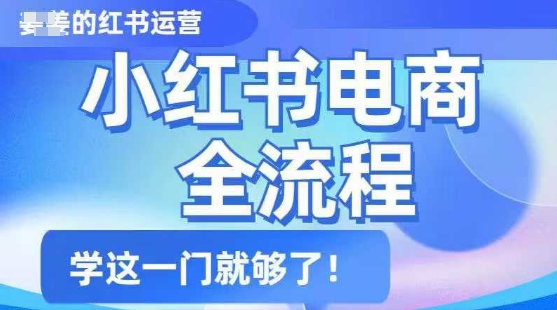 小红书电商全流程，精简易懂，从入门到精通，学这一门就够了-test