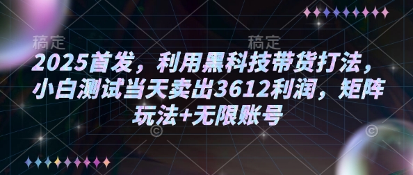 2025首发，利用黑科技带货打法，小白测试当天卖出3612利润，矩阵玩法+无限账号【揭秘】-test