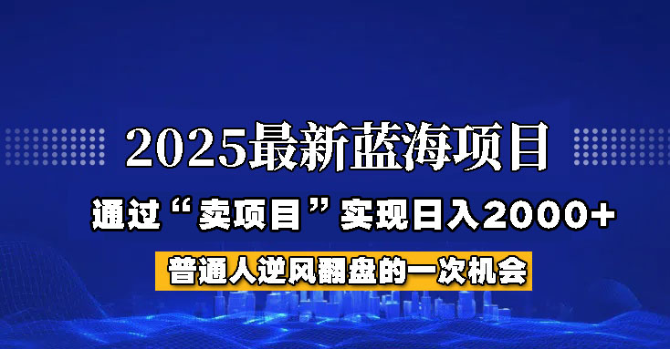 2025年蓝海项目，如何通过“网创项目”日入2000+-test