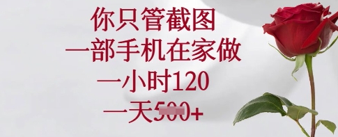 你只管截图，一部手机在家做，一小时120.一天5张【揭秘】-test