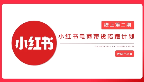 2025小红书虚拟电商实战课，从0到1打造无货源店铺，AI+爆款笔记轻松变现-test