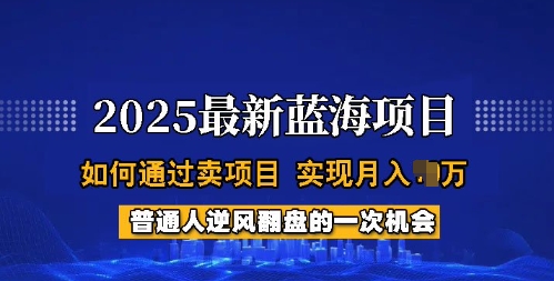 2025蓝海项目，普通人如何通过卖项目，实现月入过W，全过程【揭秘】-test