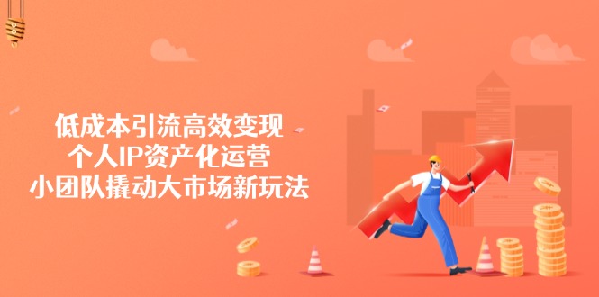 低成本引流高效变现，个人IP资产化运营，小团队撬动大市场新玩法-test