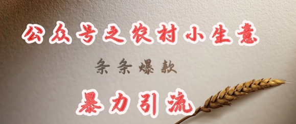 deepseek写农村小项目，条条爆款，暴力引流-test