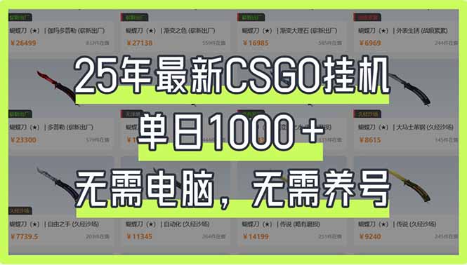25年最新CSGO挂机系统，单日1000+，无需电脑，无需养号，0基础可上手-test