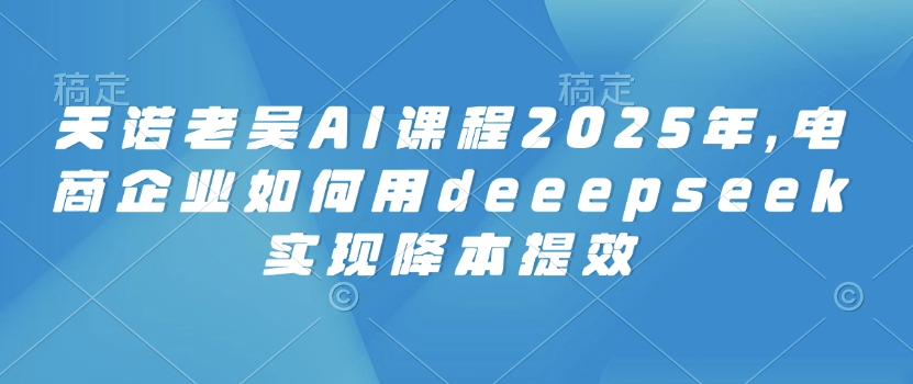 天诺老吴AI课程2025年，电商企业如何用deeepseek实现降本提效-test