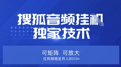 【搜狐音频挂G】独家技术，可矩阵可放大，红利期稳定月入8k【揭秘】-test