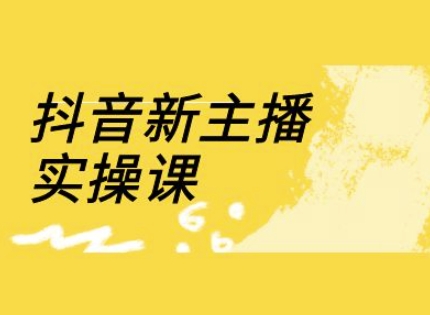 抖音新主播实操课，直播间流量运营线上实操课(18节)-test