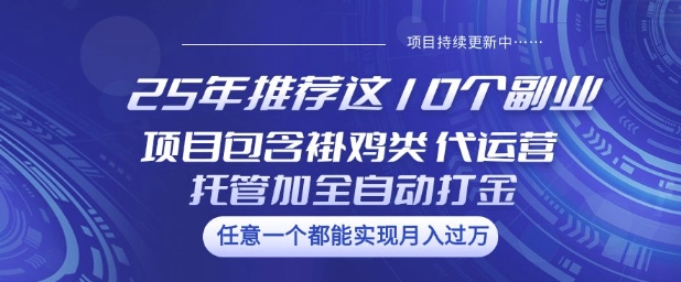 25年推荐这10个副业项目包含褂鸡类、代运营托管类、全自动打金类【揭秘】-test