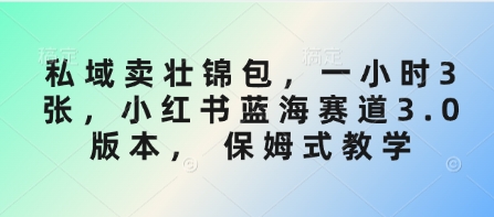 私域卖壮锦包，一小时3张，小红书蓝海赛道3.0版本， 保姆式教学-test