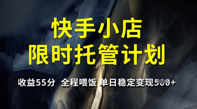 快手小店限时托管计划，收益55分，全程喂饭，单日稳定变现5张【揭秘】-test