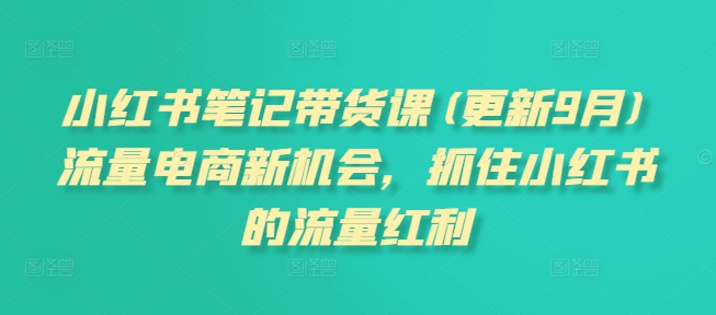 小红书笔记带货课(更新25年3月)流量电商新机会，抓住小红书的流量红利-test