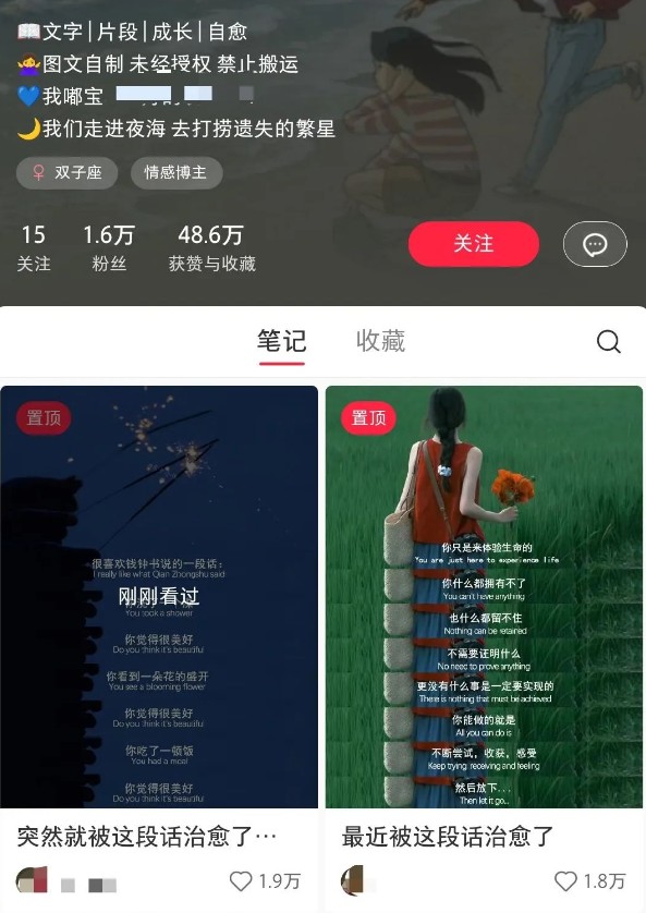 小红书治愈文案图文笔记，零门槛，一分钟制作轻松制作爆款作品月入万元-test