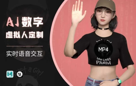 Ai数字人虚拟(智能体)实时语音交互特训营，​自行定制超写实角色AI数字人交互技术-test