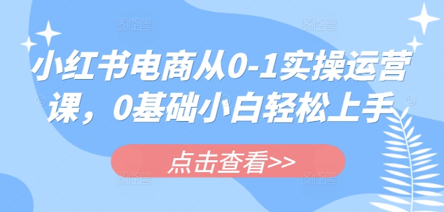 小红书电商从0-1实操运营课，0基础小白轻松上手-test