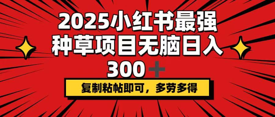 2025小红书最强种草项目，无脑日入300+，复制粘帖即可，多劳多得-test