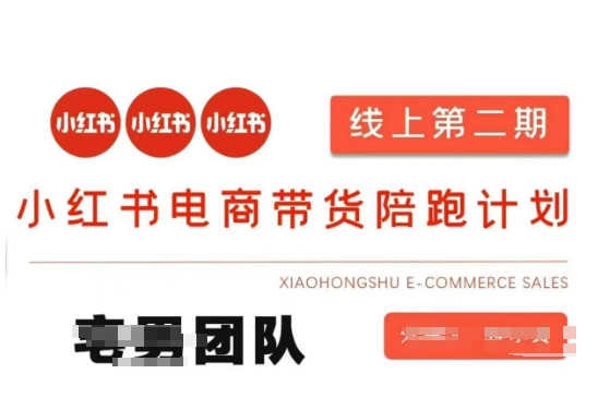小红书电商带货课2期，月利润20个的小红书电商的有货源，无货源，虚拟产品，付费投流等整套玩法-test