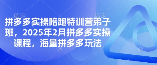 拼多多实操陪跑特训营弟子班，2025年2月拼多多实操课程，海量拼多多玩法-test