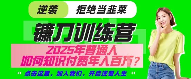 【网创项目终点站-镰刀训练营超级IP合伙人】25年普通人如何通过知识付费实现逆袭【揭秘】-test