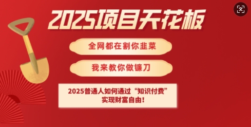 2025项目天花板普通人如何通过知识付费，实现财F自由【揭秘】-test