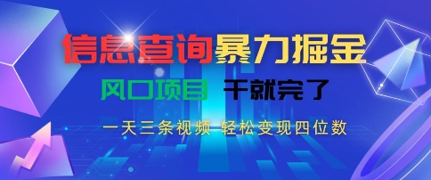 信息查询暴力掘金，一天三条视频，轻松变现四位数，风口项目干就完了【揭秘】-test