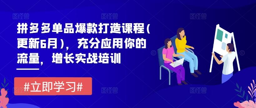 拼多多单品爆款打造课程(更新6月)，充分应用你的流量，增长实战培训-test