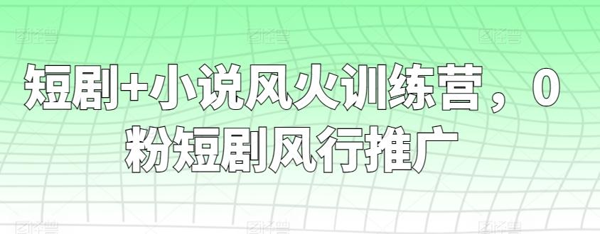 短剧+小说风火训练营，0粉短剧风行推广-test
