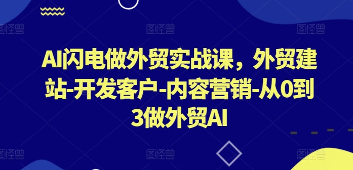 AI闪电做外贸实战课，​外贸建站-开发客户-内容营销-从0到3做外贸AI(更新)-test