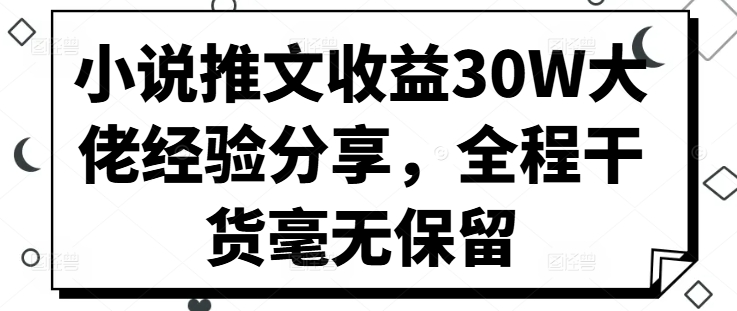 小说推文收益30W大佬经验分享，全程干货毫无保留-test