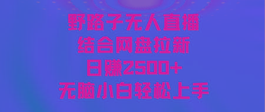 无人直播野路子结合网盘拉新，日赚2500+多平台变现，小白无脑轻松上手操作-test