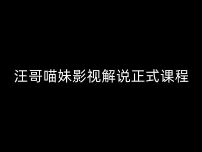 汪哥影视解说正式课程：剪映/PR教学/视解说剪辑5大黄金法则/全流程剪辑7把利器等等-test