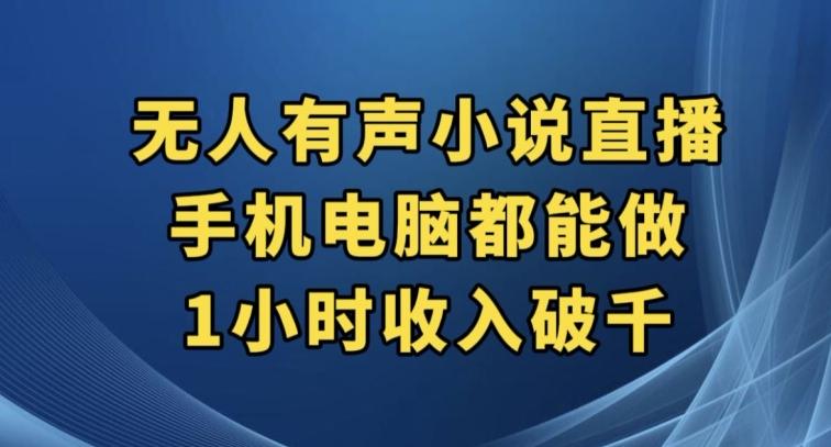 抖音无人有声小说直播，手机电脑都能做，1小时收入破千【揭秘】-test