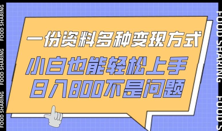 一份资料多种变现方式，小白也能轻松上手，日入800不是问题【揭秘】-test