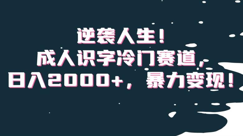 逆袭人生！成人识字冷门赛道，日入2000+，暴力变现！【揭秘】-test