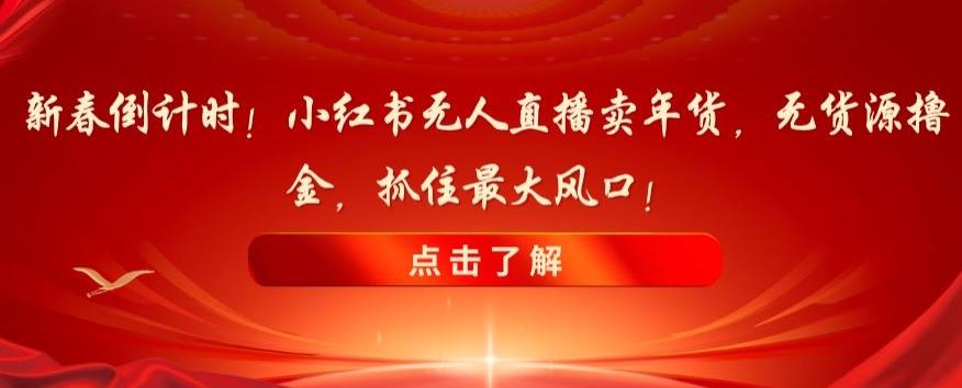 新春倒计时！小红书无人直播卖年货，无货源撸金，抓住最大风口【揭秘】-test