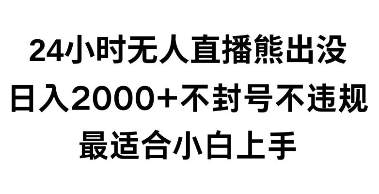 快手24小时无人直播熊出没，不封直播间，不违规，日入2000+，最适合小白上手，保姆式教学【揭秘】-test