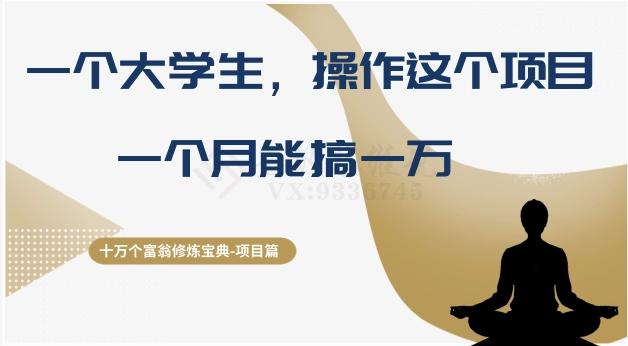 十万个富翁修炼宝典之4.一个大学生操作这个项目，一个月能搞一万-test