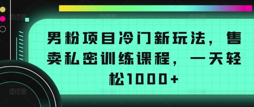 男粉项目冷门新玩法，售卖私密训练课程，一天轻松1000+【揭秘】-test
