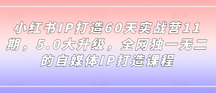 小红书IP打造60天实战营11期，5.0大升级，全网独一无二的自媒体IP打造课程-test