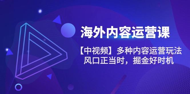海外内容 运营课【中视频】多种内容运营玩法 风口正当时 掘金好时机-101节-test