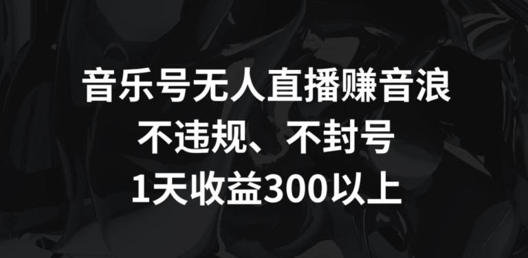 音乐号无人直播赚音浪，不违规、不封号，1天收益300+【揭秘】-test