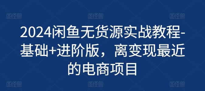 2024闲鱼无货源实战教程-基础+进阶版，离变现最近的电商项目-test