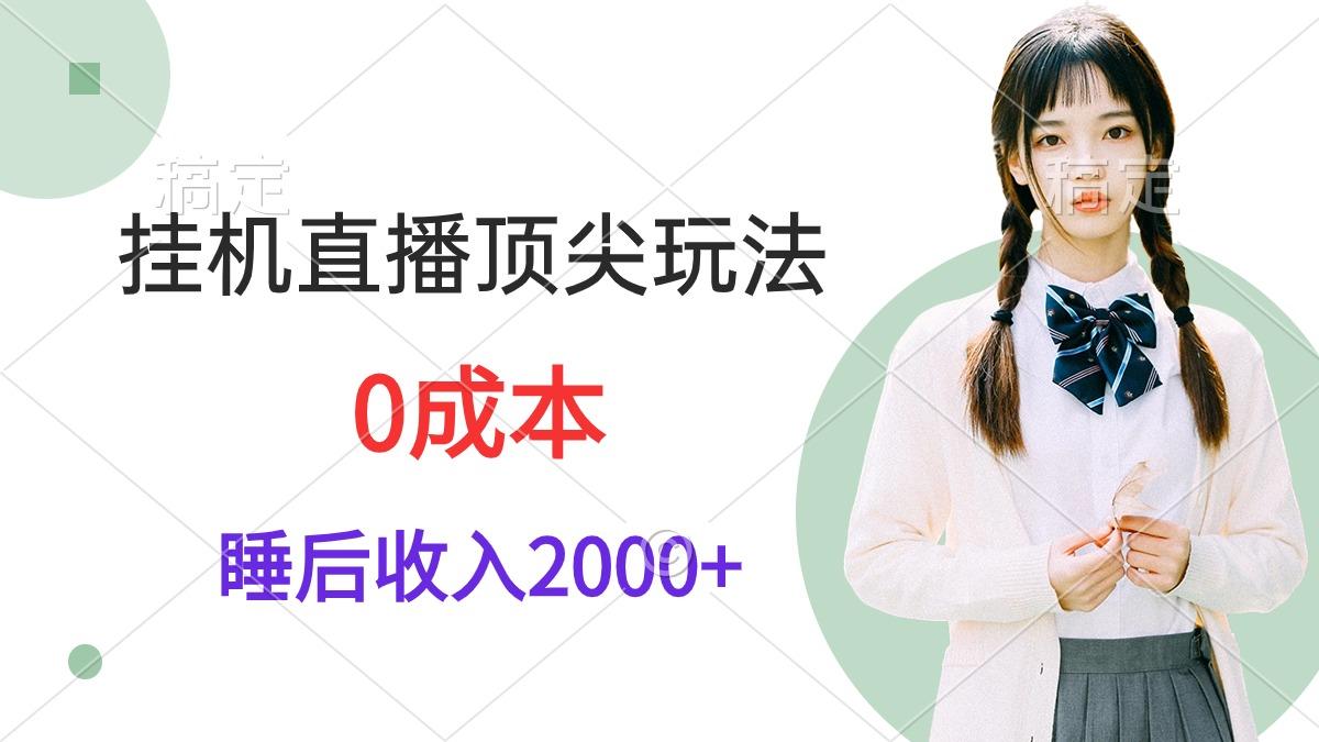 (9715期)挂机直播顶尖玩法，睡后日收入2000+、0成本，视频教学-test