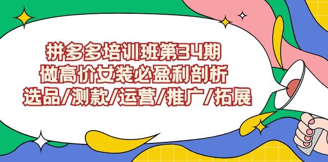 (9333期)拼多多培训班第34期：做高价女装必盈利剖析  选品/测款/运营/推广/拓展-test